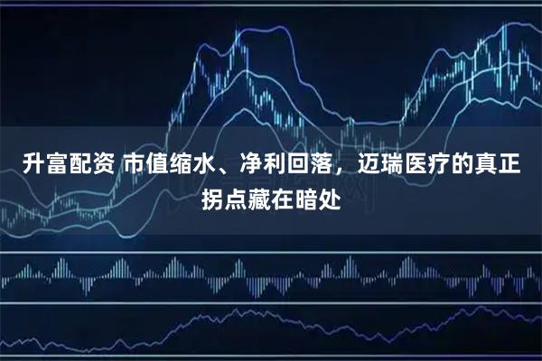 升富配资 市值缩水、净利回落，迈瑞医疗的真正拐点藏在暗处