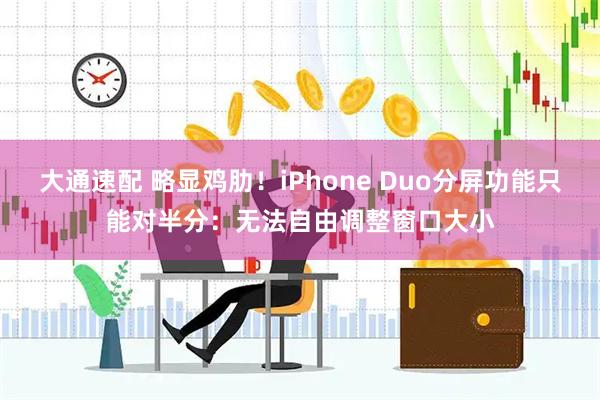 大通速配 略显鸡肋！iPhone Duo分屏功能只能对半分：无法自由调整窗口大小