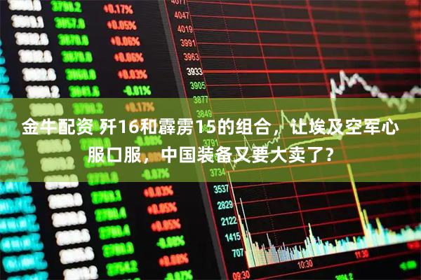 金牛配资 歼16和霹雳15的组合，让埃及空军心服口服，中国装备又要大卖了？