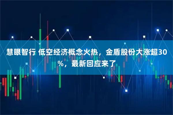 慧眼智行 低空经济概念火热，金盾股份大涨超30%，最新回应来了
