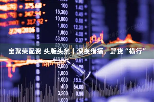 宝聚荣配资 头版头条｜深夜猎播，野货“横行”